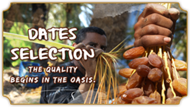 selection_1.png